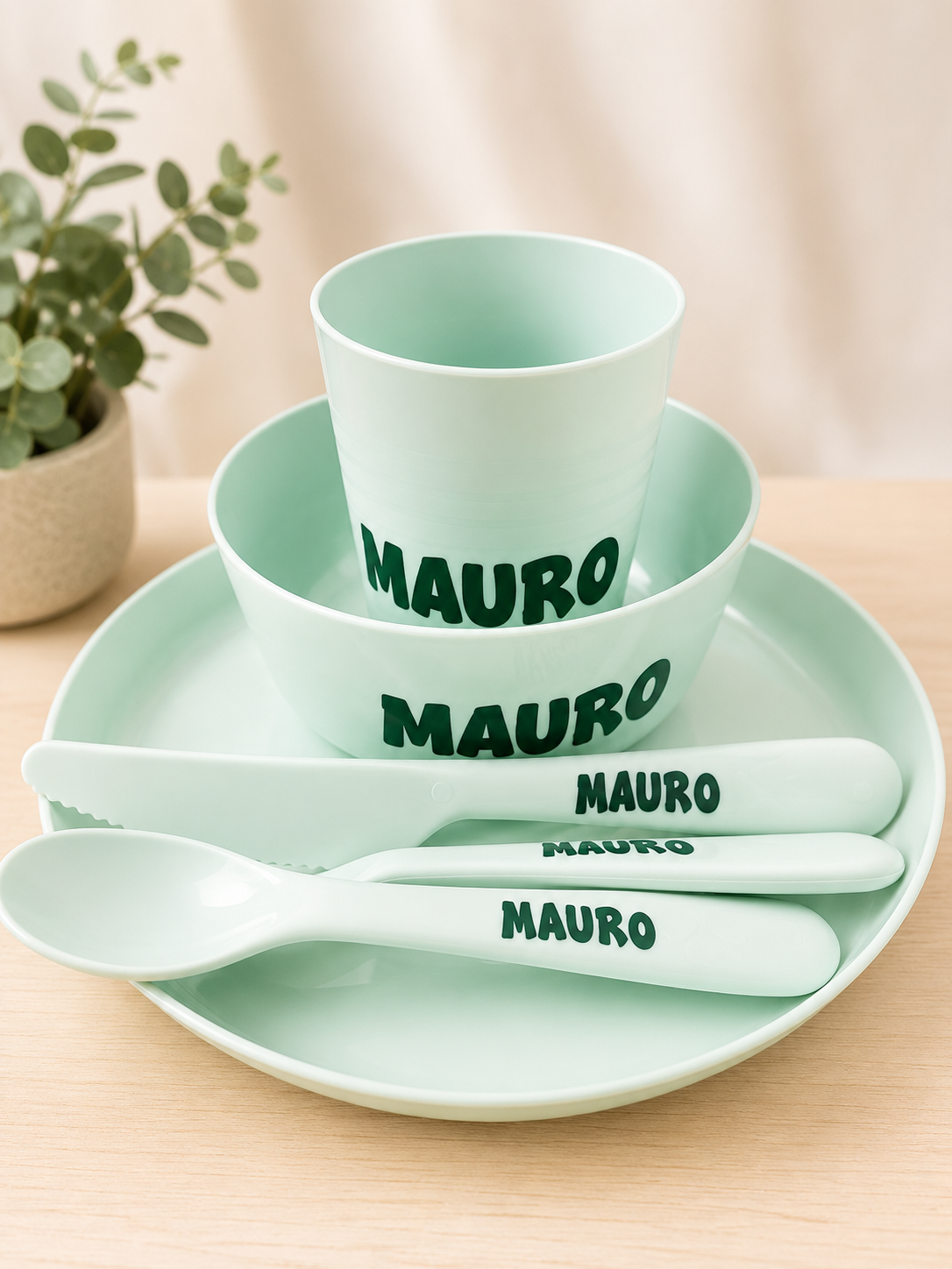 servies-standard-fc2f57.png