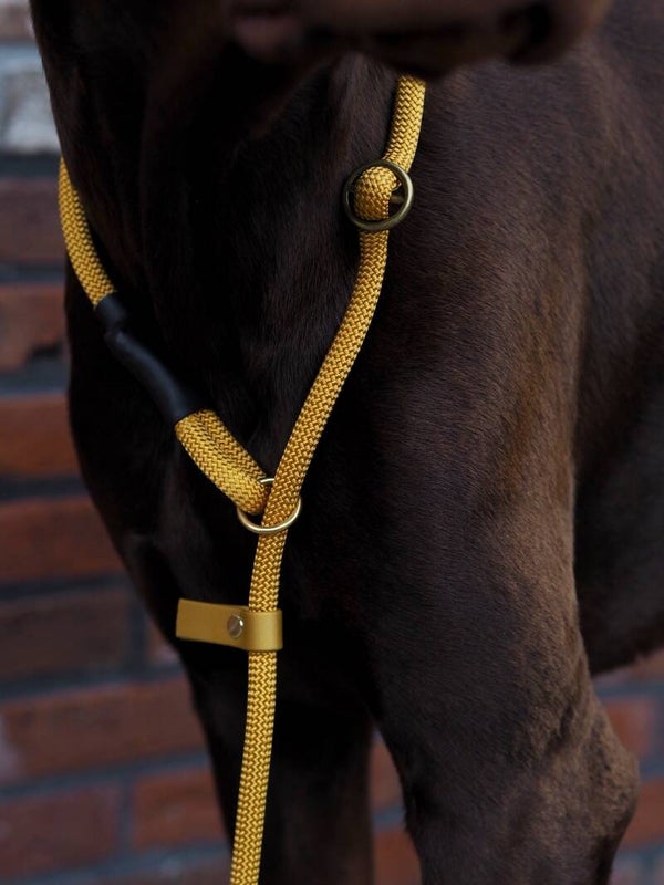 Jachtlijn golden autumn