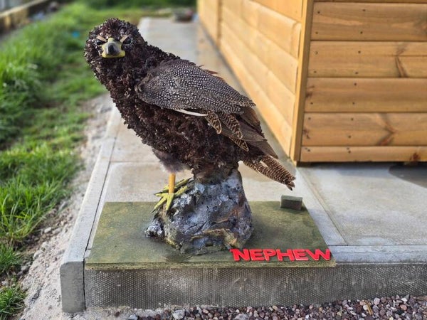 3D Hawk