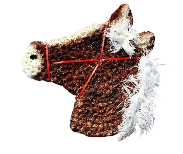 Horses head