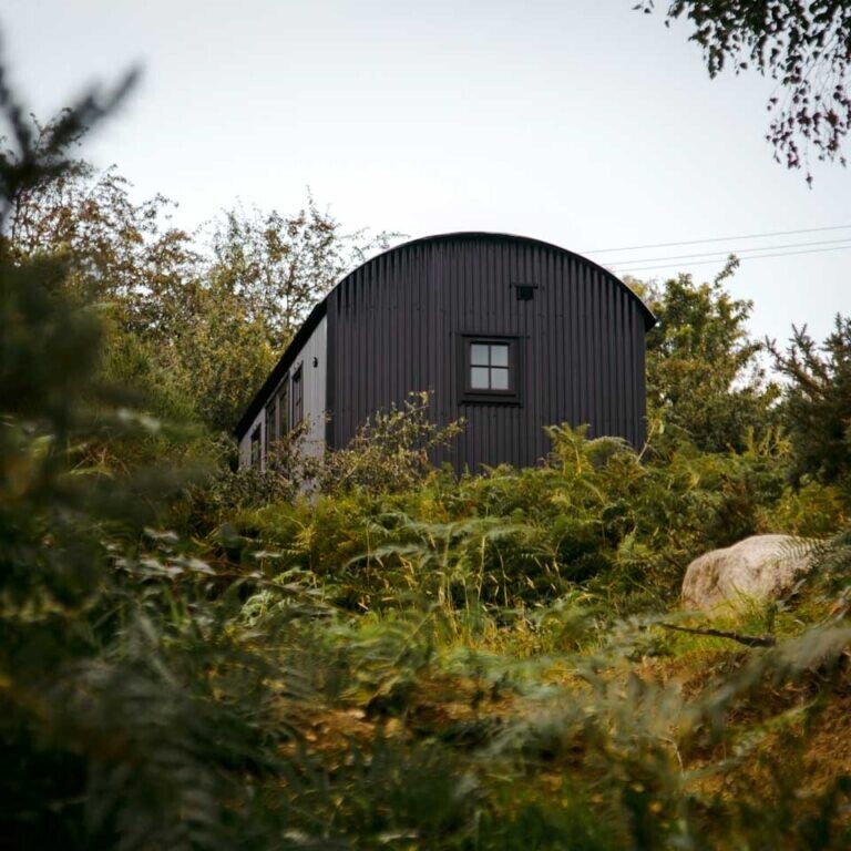 shepherd-s-hut-outside-standard.jpg
