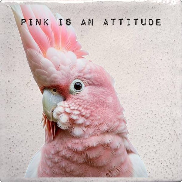 Tegeltje "Pink is an attitude"
