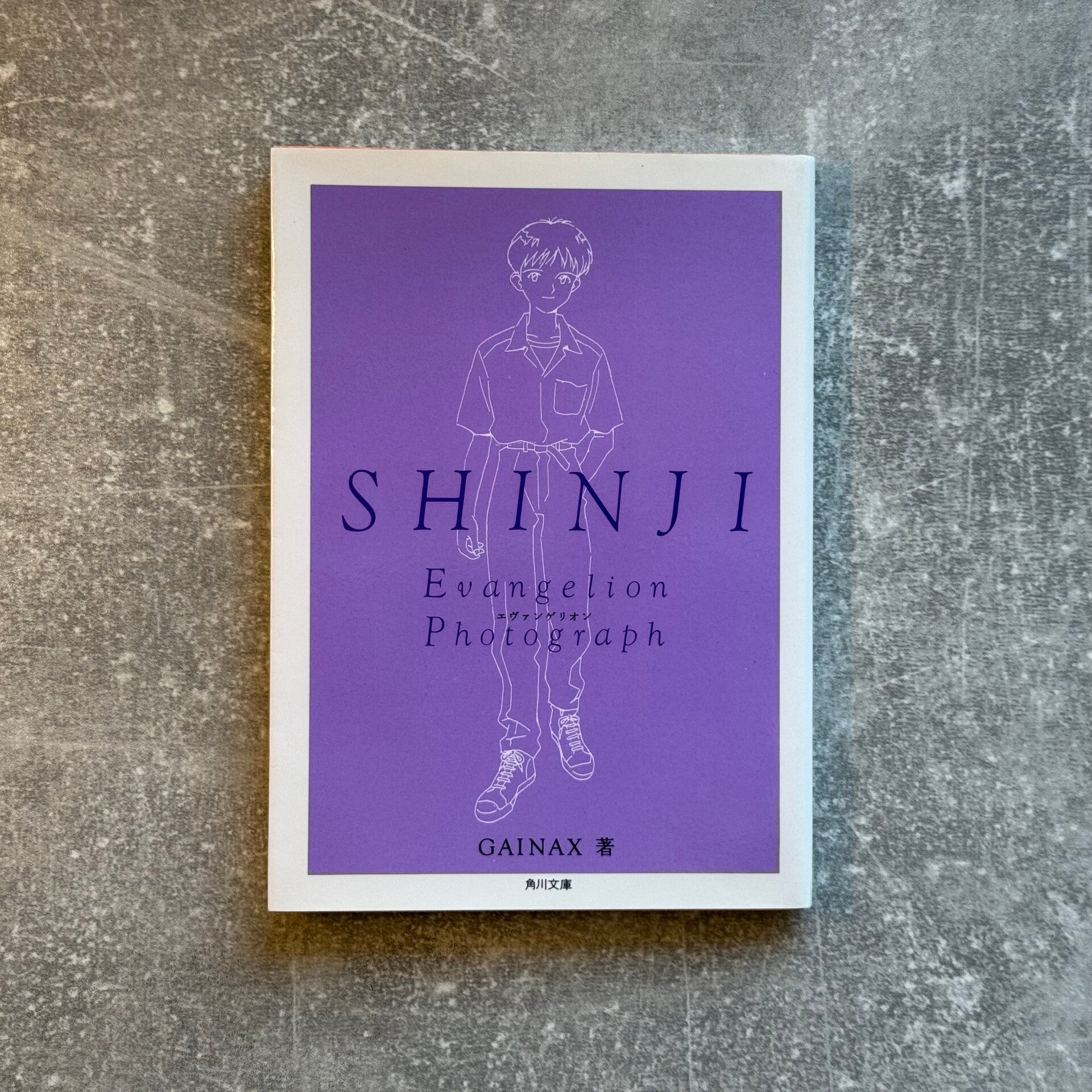 Shinji Evangelion Photograph | Kadokawa Bunko Paperback Art Book | Japan Import