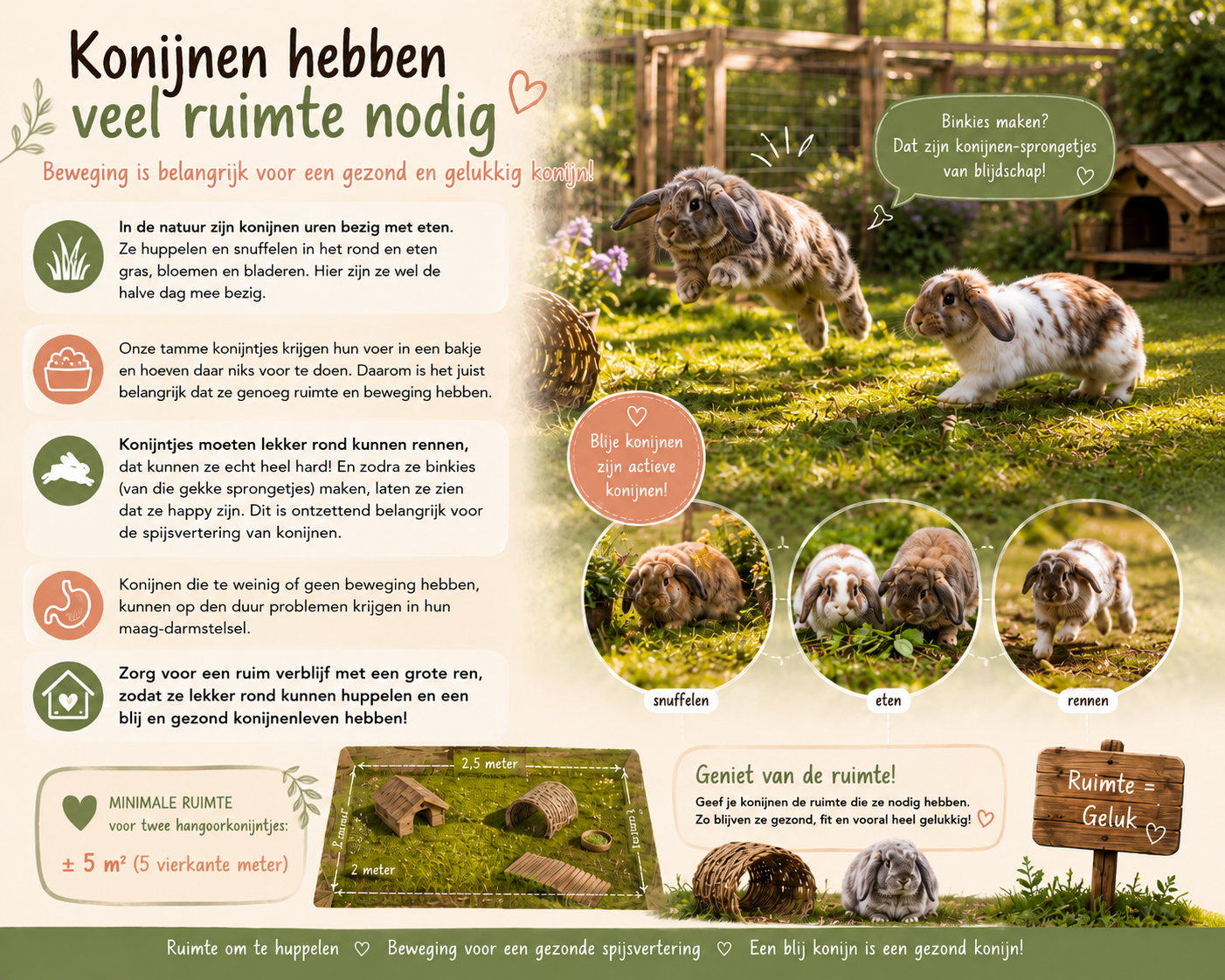 Konijnen hebben veel ruimte nodig