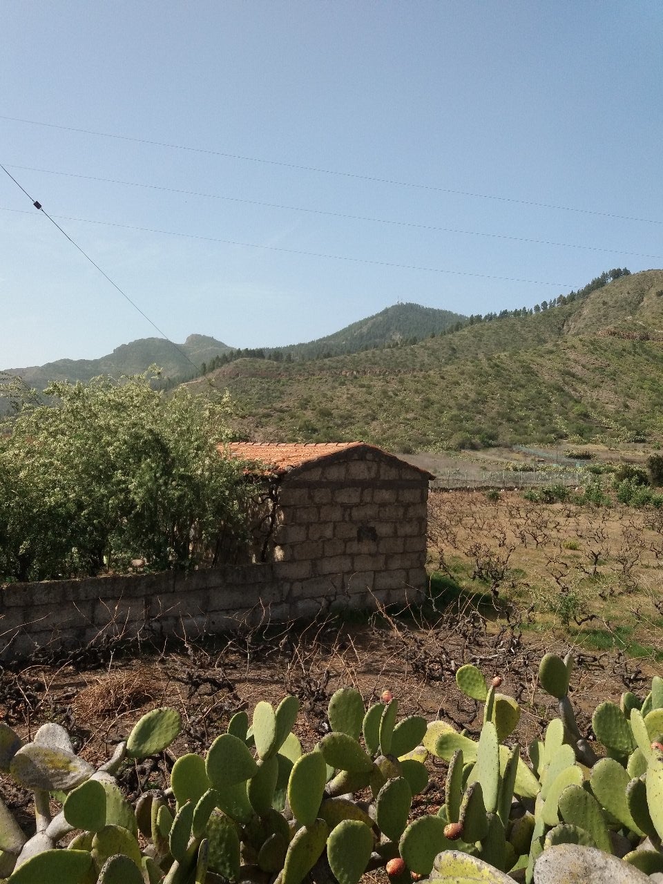Santiago del Teide Tenerife