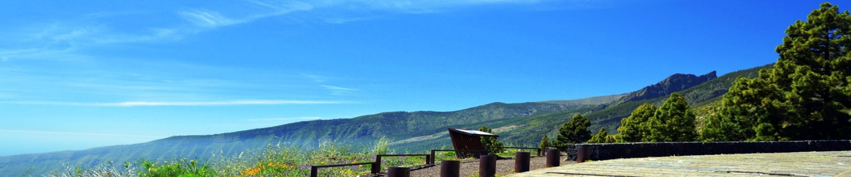 reisgids tenerife arafo