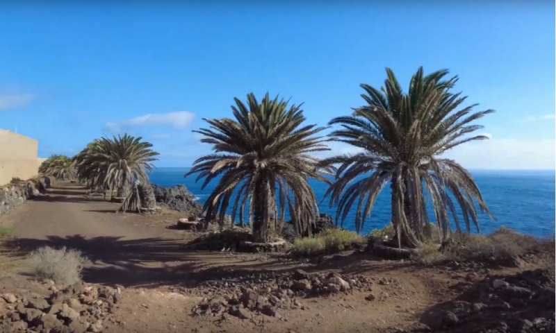 malpais la rasca palm-mar