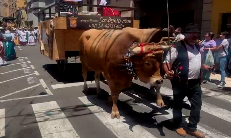 romeria tegueste tenerife