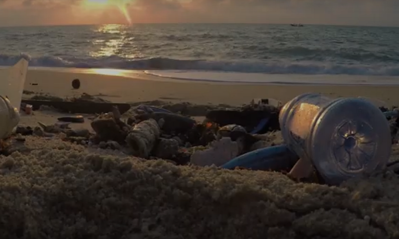 lozingen playa jardin