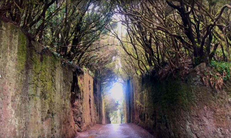 bijzondere natuur anaga tenerife