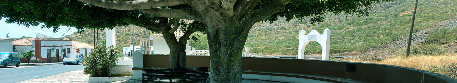 reisgids tenerife santiago del teide