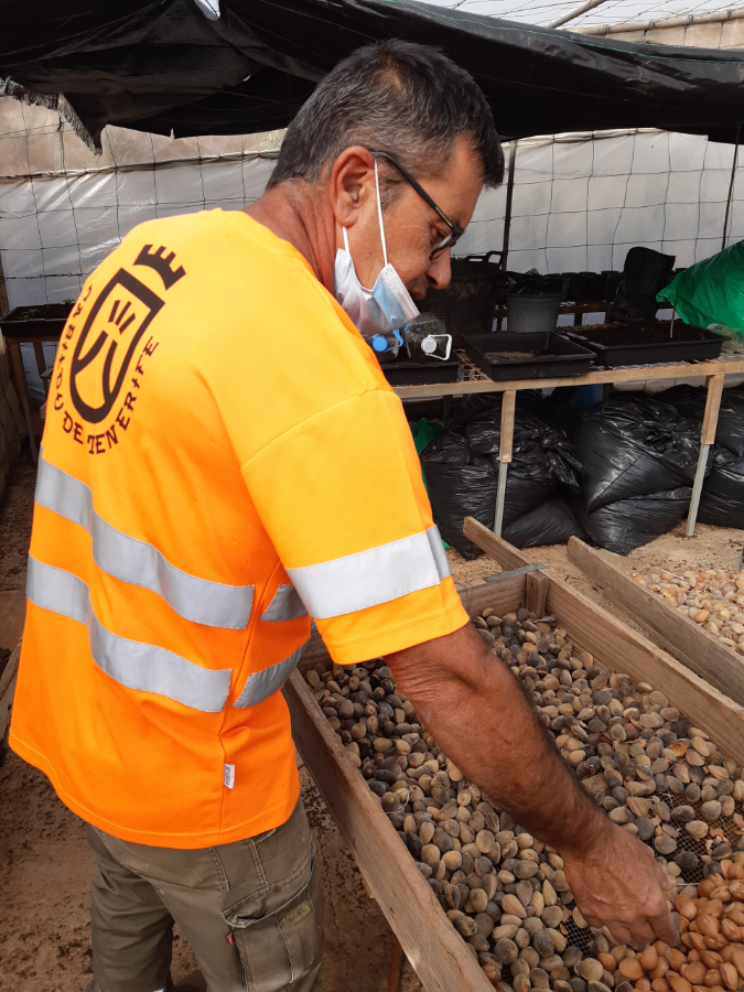 Los-Pedregales-tenerife