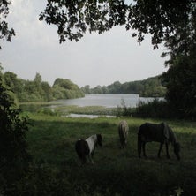 img_6750jpg.jpg