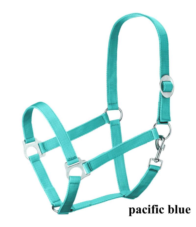 aqua-aq-pacific-blue-standard-rc5npf.jpg