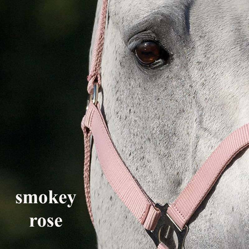 frozen-rose-fz-smokey-rose-2-standard-uhi0ua.jpg