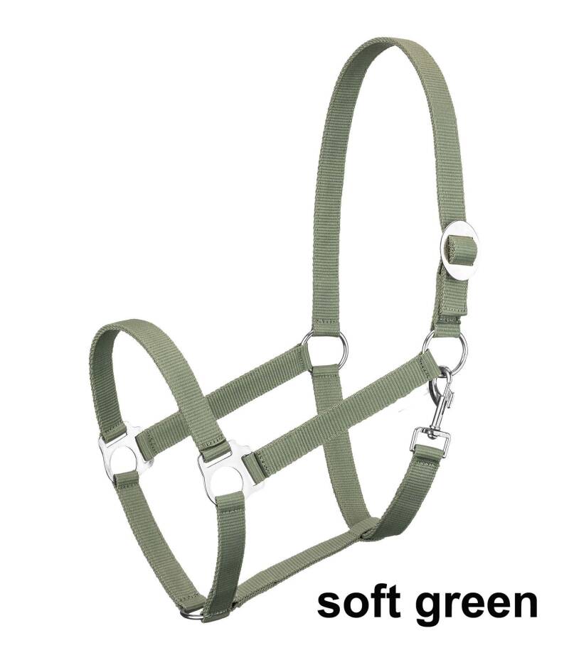 soft-green-kr-mer-aloe-vera-standard-s7spnq.jpg