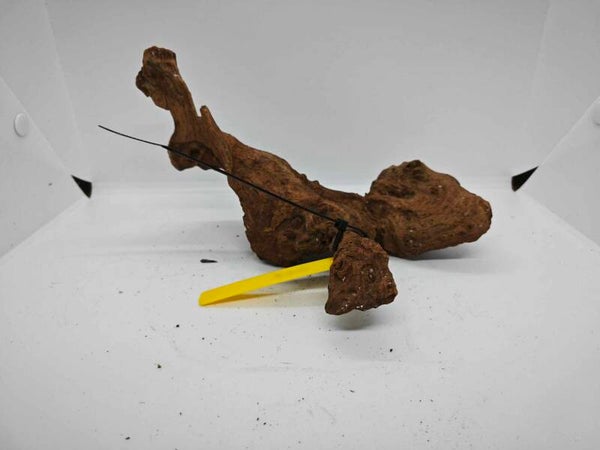 Driftwood 007