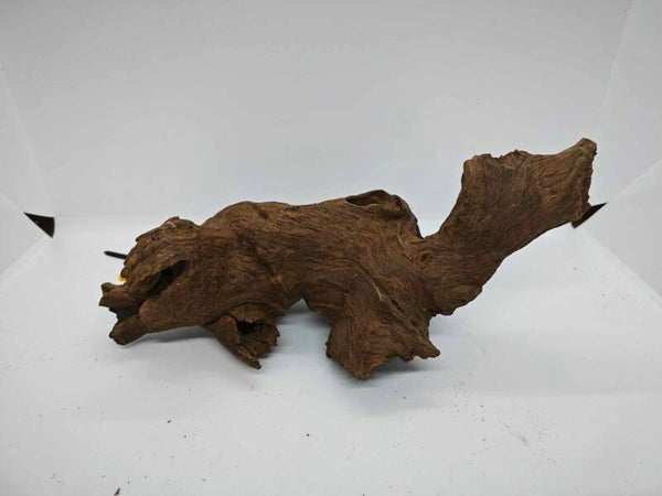 driftwood 004