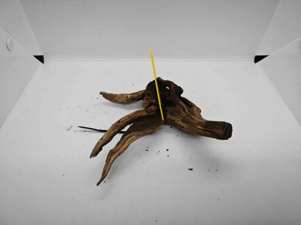 Driftwood 017