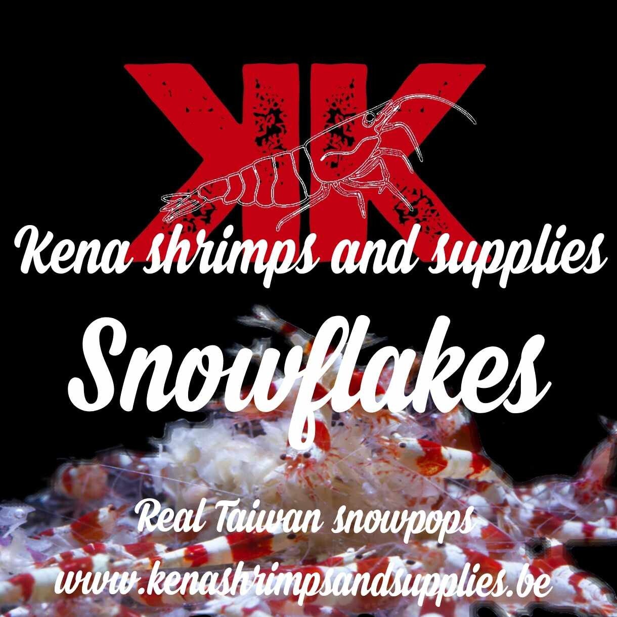 Kena snowflakes 1kg