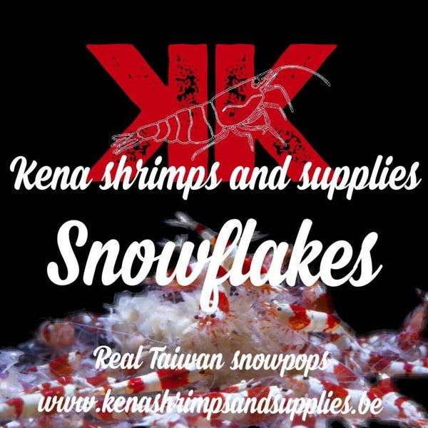 Kena snowflakes 1kg