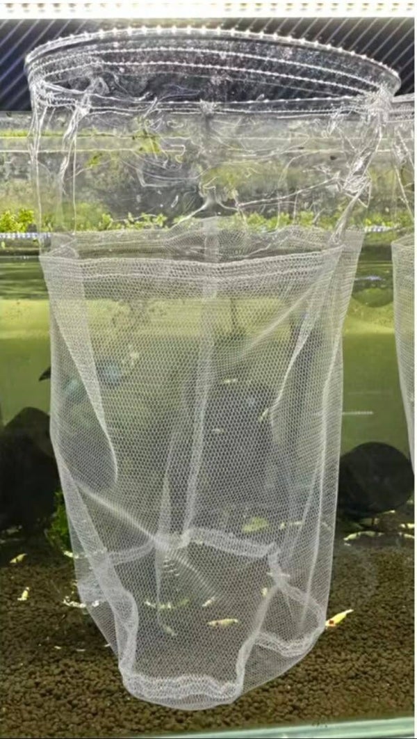 Uitvang net voor selectie