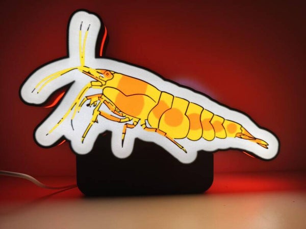 Yellow shrimp Led board