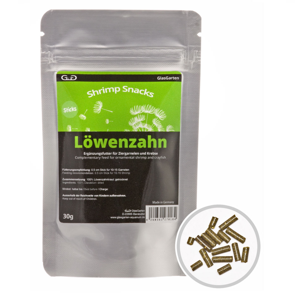 GlasGarten lowenzahn (paardebloem) sticks