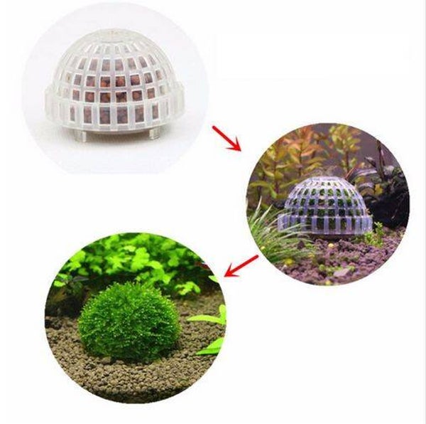 Moss dome