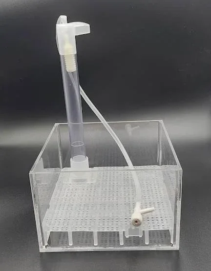 Shrimps Affair UGF box 15x15x10cm