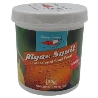 Shrimp Forever Algea Snail