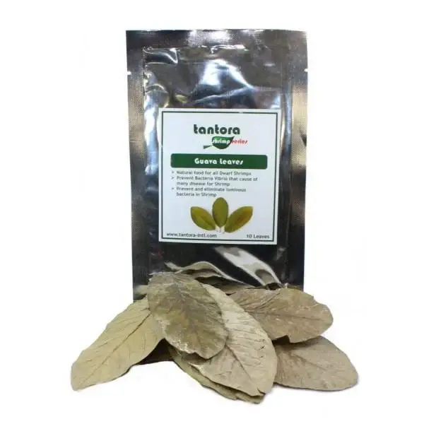 Tantora guava leaves