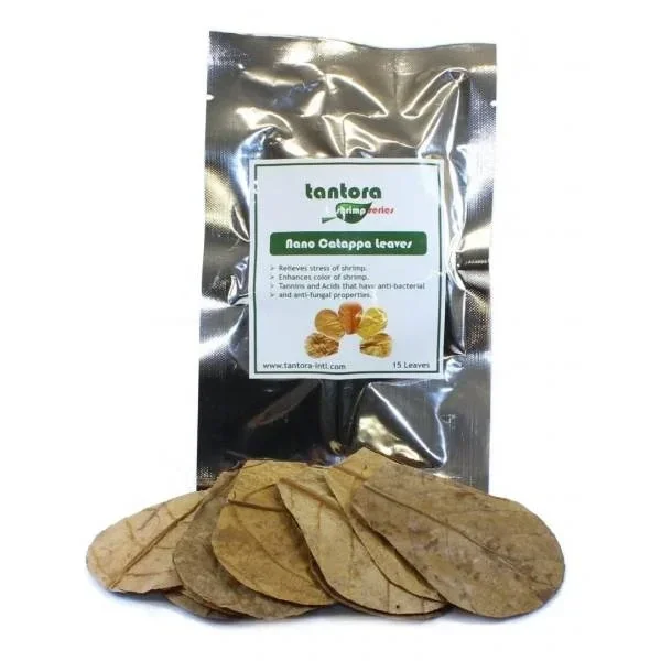 Tantora catappa leaves Medium 10 stuks