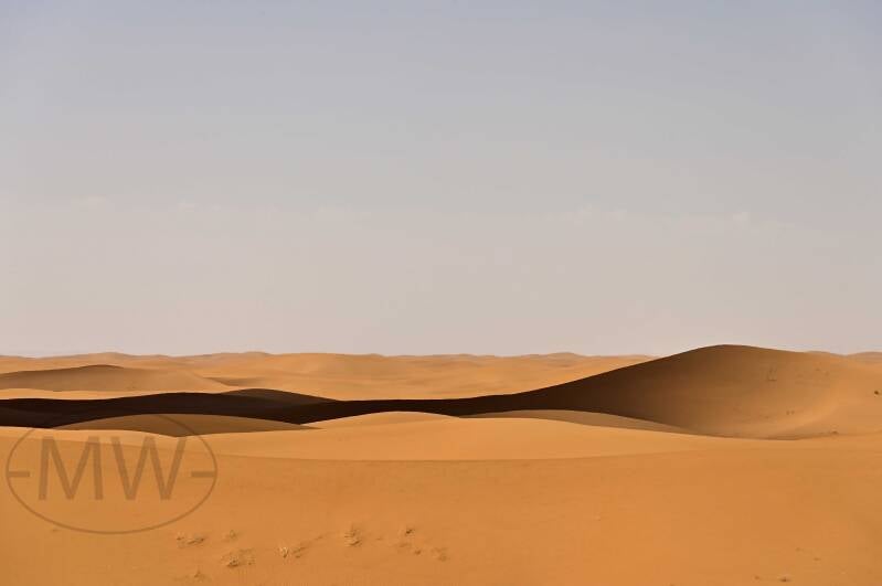 _dsc0518-standard-yviubg.jpg