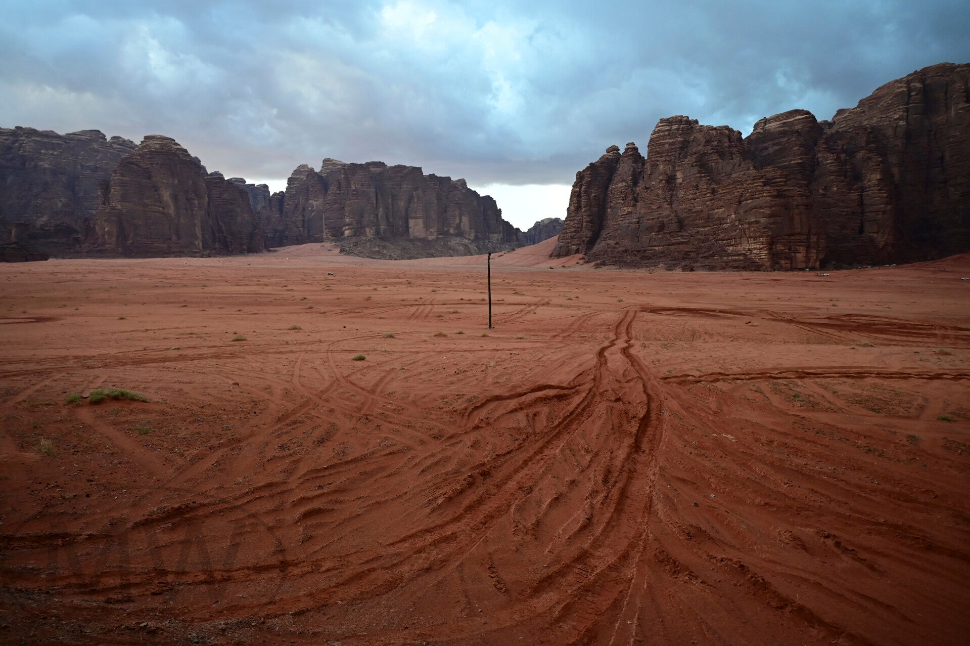 Dunkelrote Wüste nach Regen - Saudi Arabien (6048x4024 Pixel)