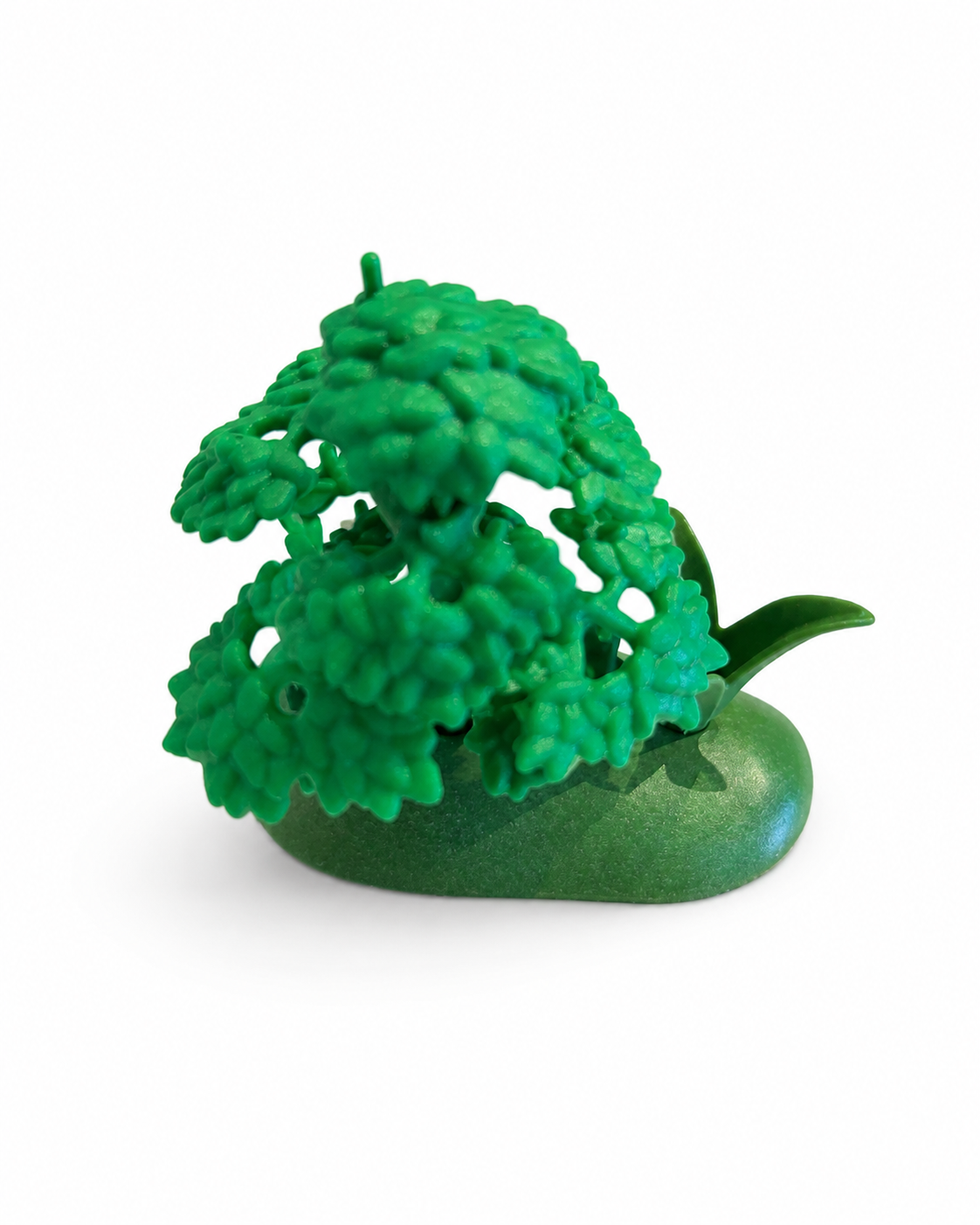 Groene plant op ovaalvoet
