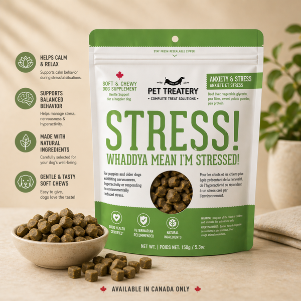 Soft, calming supplements for dogs