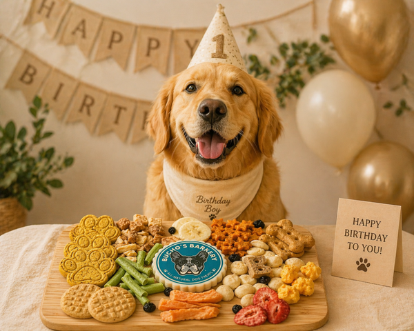 Chef's charcuterie treat platter for dogs