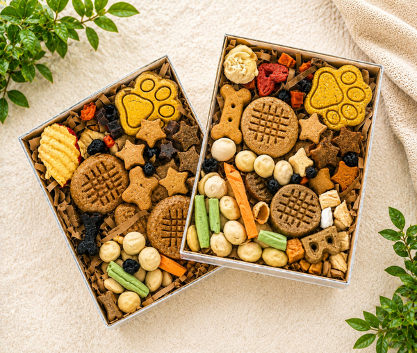 Dog treats