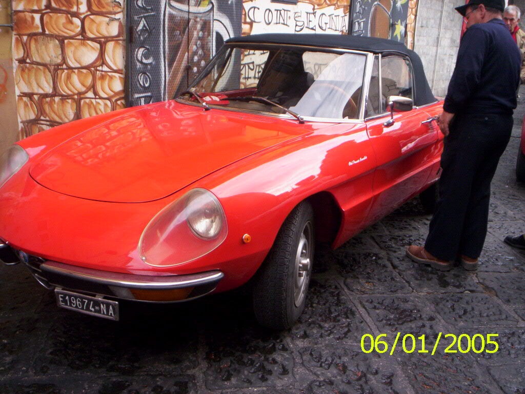 000_0115-standard.jpg