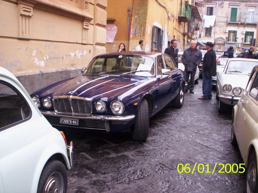 000_0119-standard.jpg