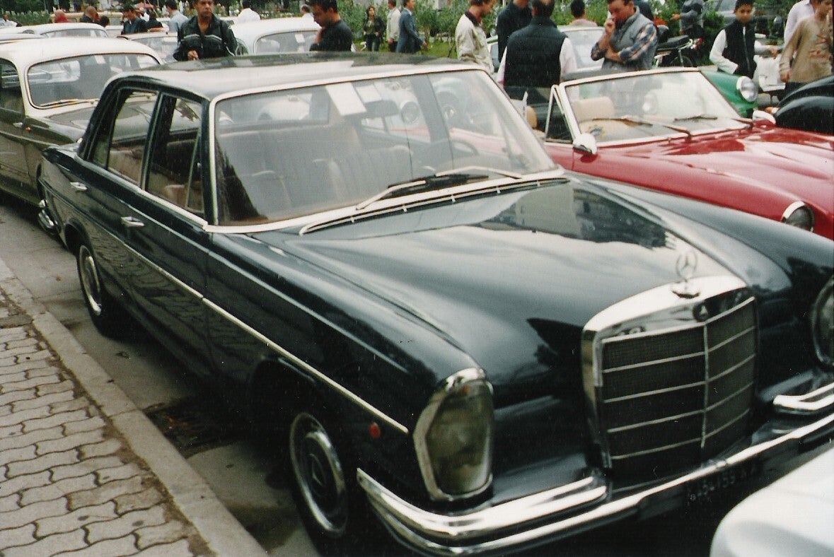 1-melannurca-2-copia-4-standard.jpg