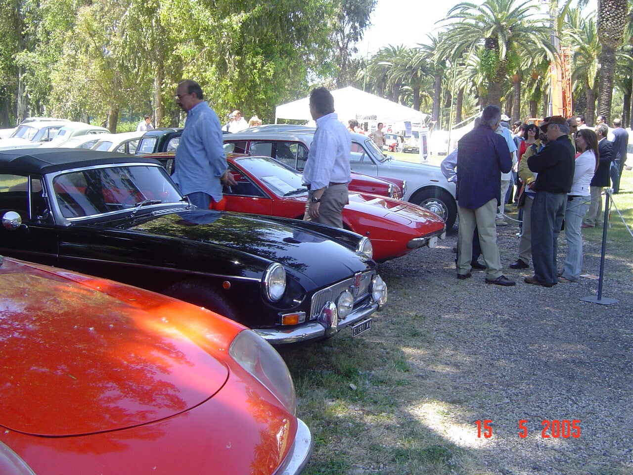 tutte-dalla-sony-391-standard.jpg