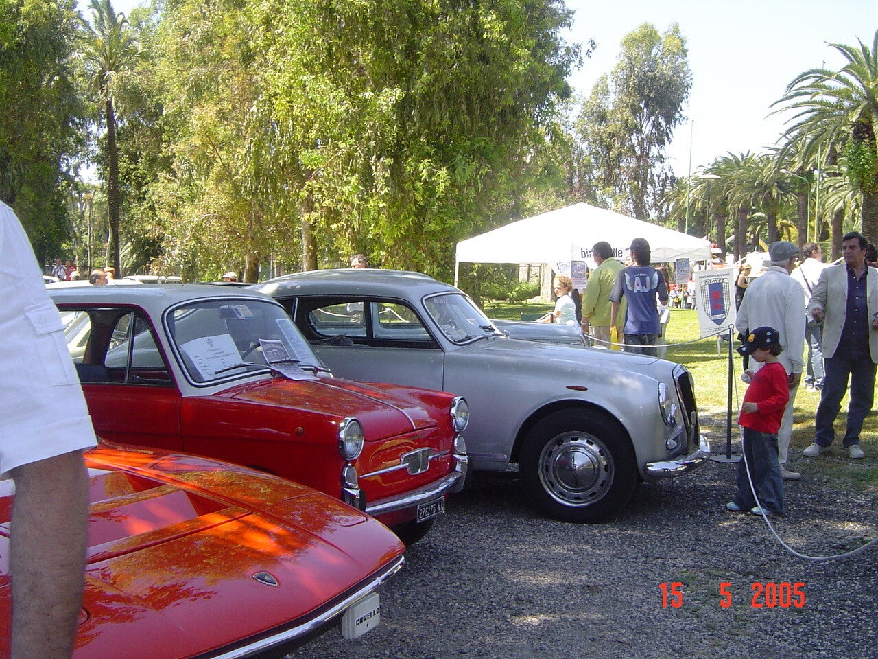 tutte-dalla-sony-392-standard.jpg