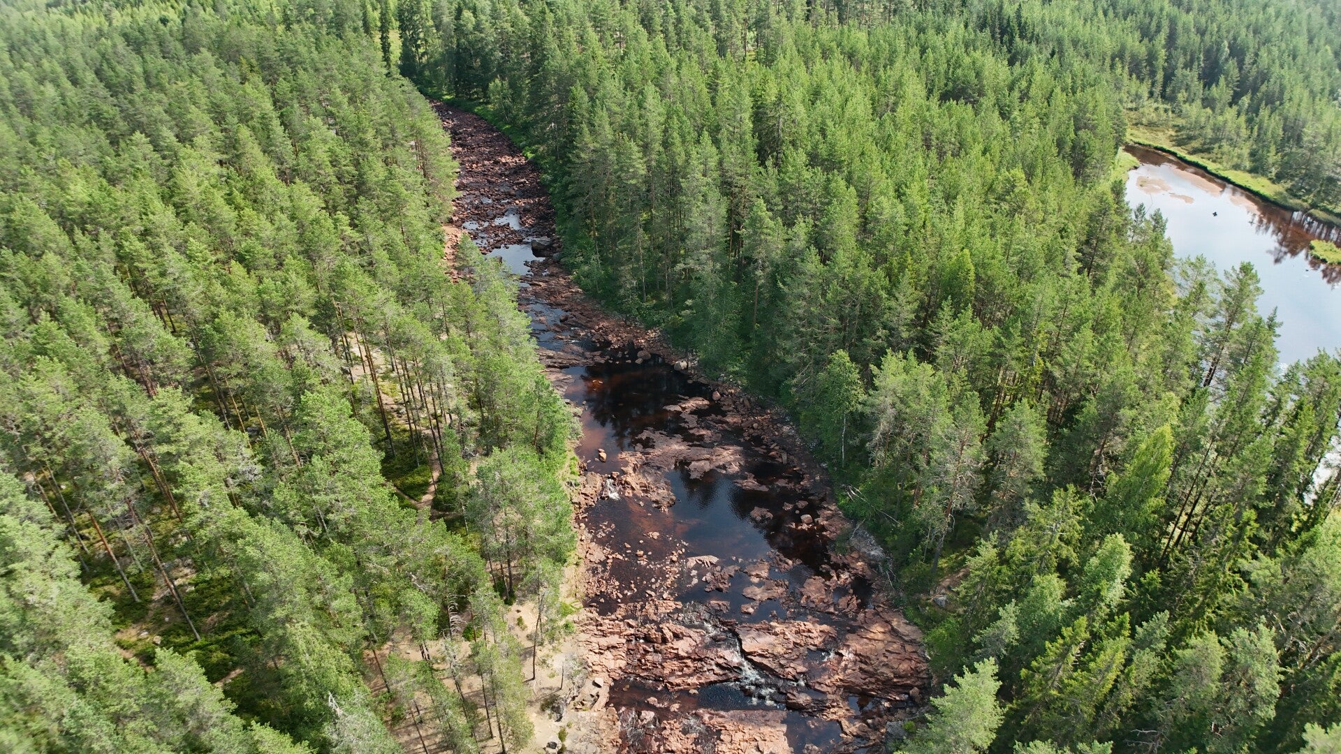 dji_20260716232802_0004_d-standard.jpg
