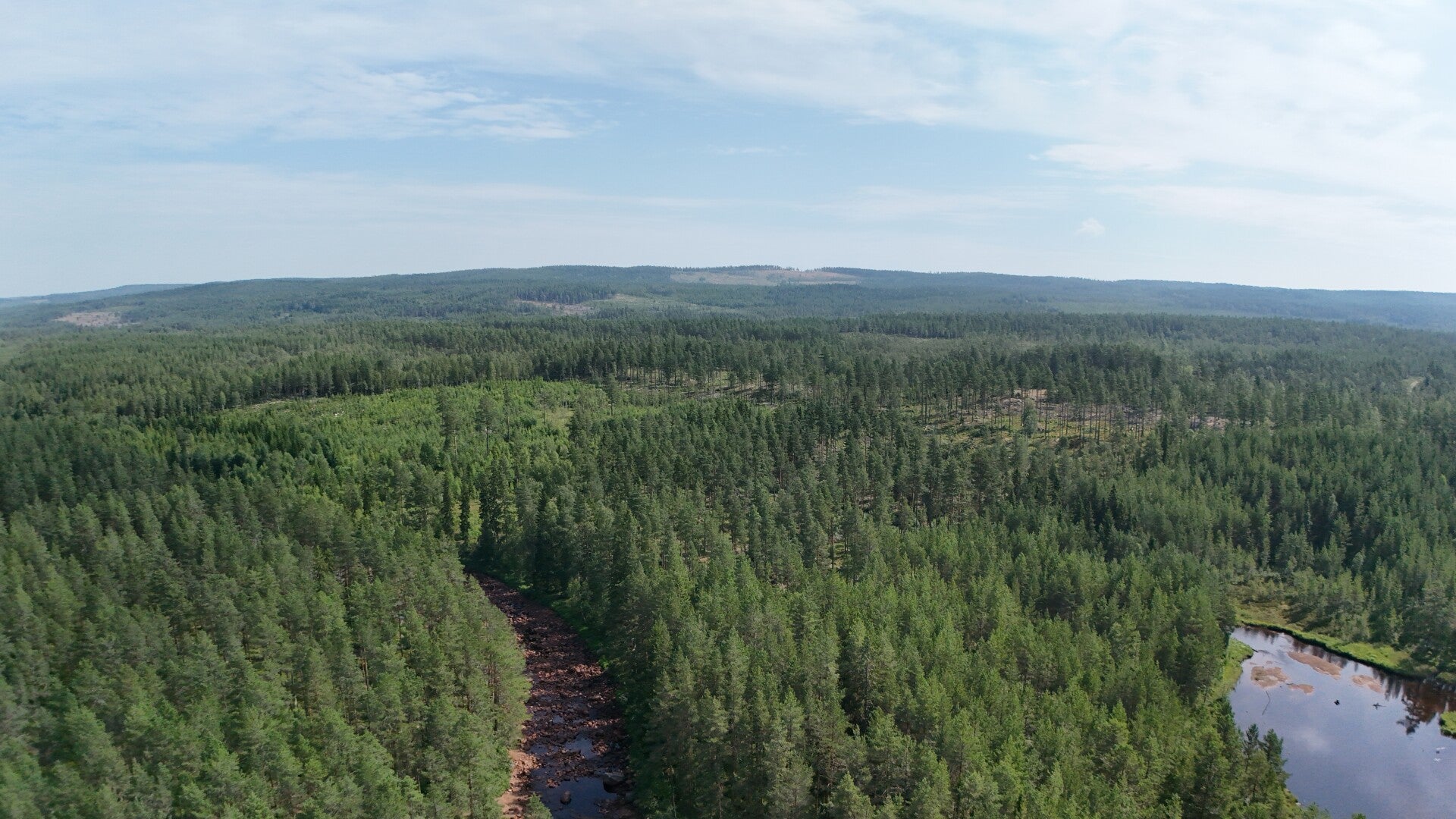 dji_20260716232823_0006_d-standard.jpg