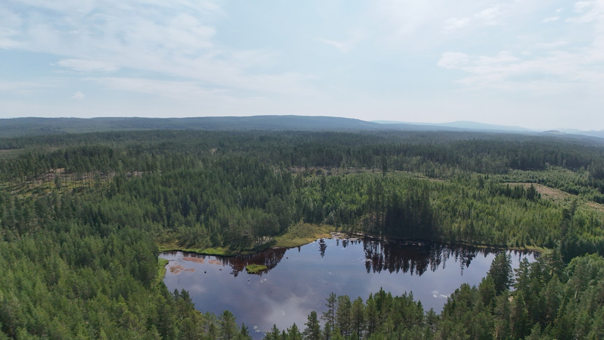 dji_20260716232828_0007_d-standard.jpg