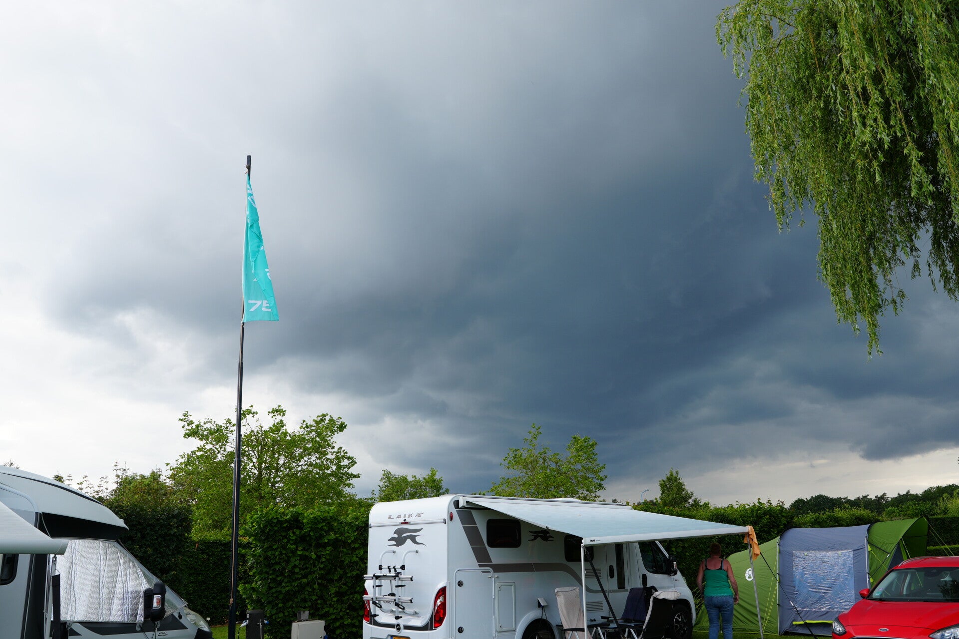 dsc00976-standard.jpg