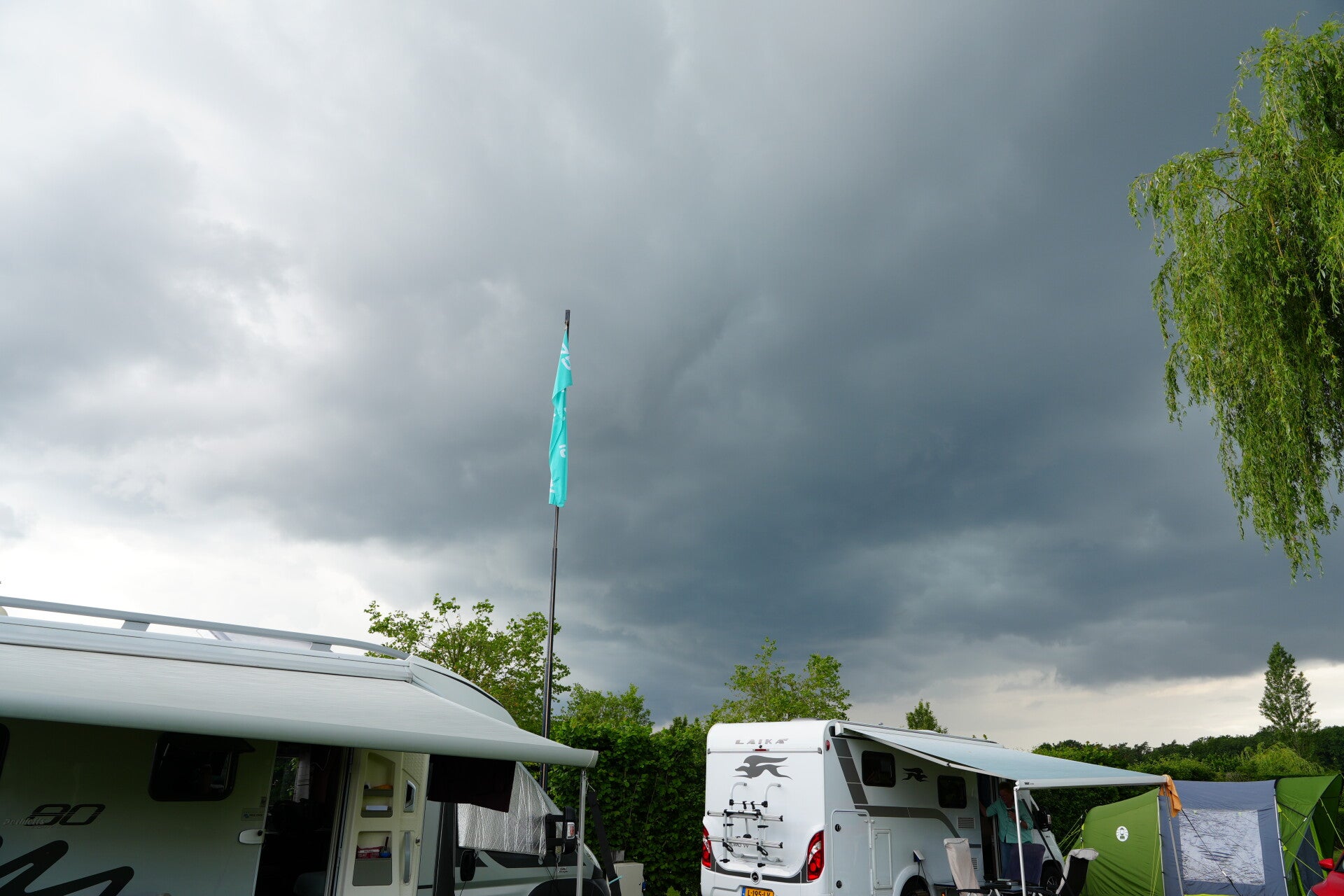 dsc00980-standard.jpg