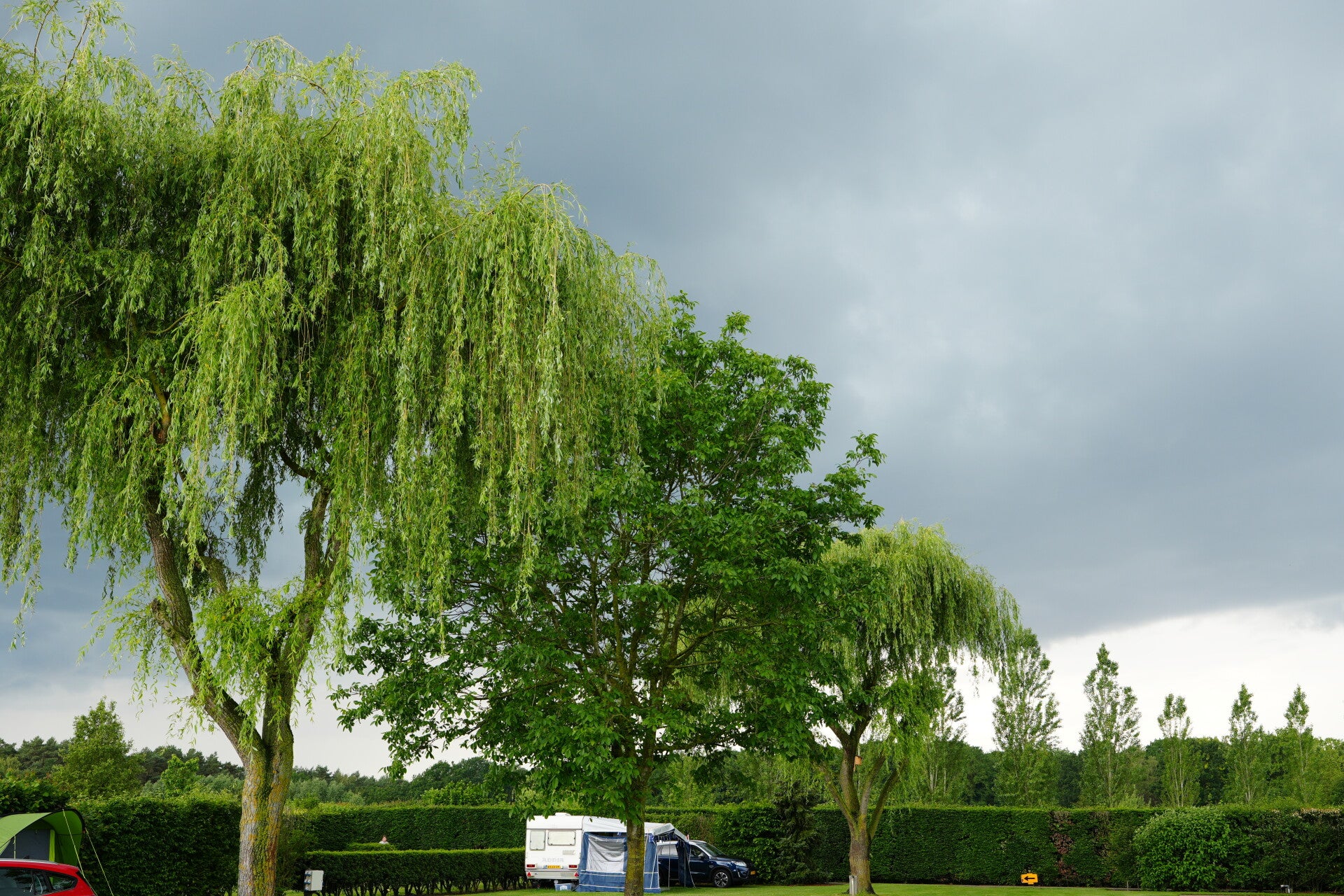 dsc00981-standard.jpg